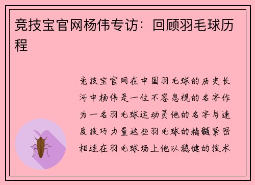 竞技宝官网杨伟专访：回顾羽毛球历程