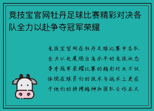 竞技宝官网牡丹足球比赛精彩对决各队全力以赴争夺冠军荣耀